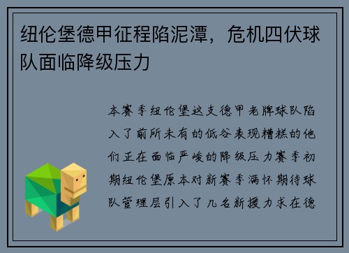 纽伦堡德甲征程陷泥潭，危机四伏球队面临降级压力