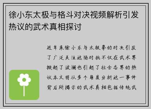 徐小东太极与格斗对决视频解析引发热议的武术真相探讨